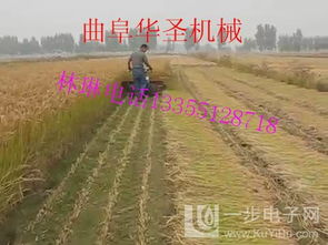 內蒙古輪式谷物收割機 多種型號滿足谷物種植需求