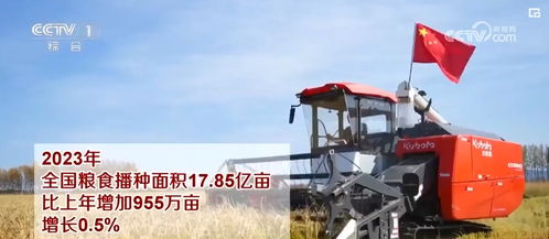 糧油豐供給足，谷物種植為經濟持續恢復向好提供堅實支撐