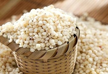 固原市原州區浩宇種植農民專業合作社 多元化高粱種植，守護谷物生產多樣性