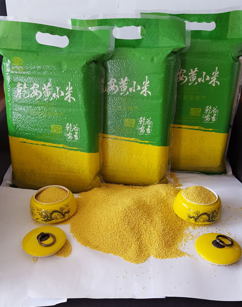 黑土金谷 吉林黃小米的品質(zhì)傳承與產(chǎn)業(yè)鏈創(chuàng)新